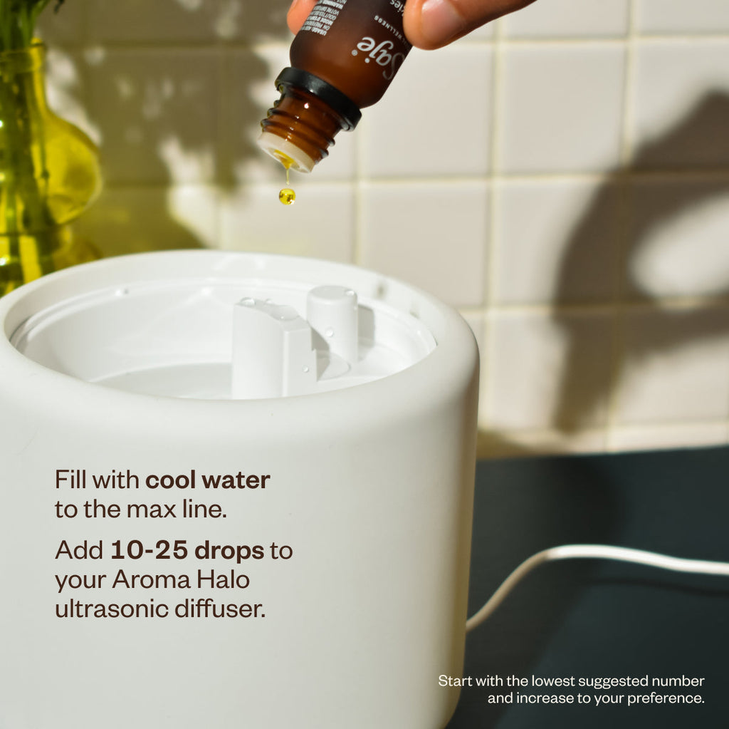 Elevated States Trio